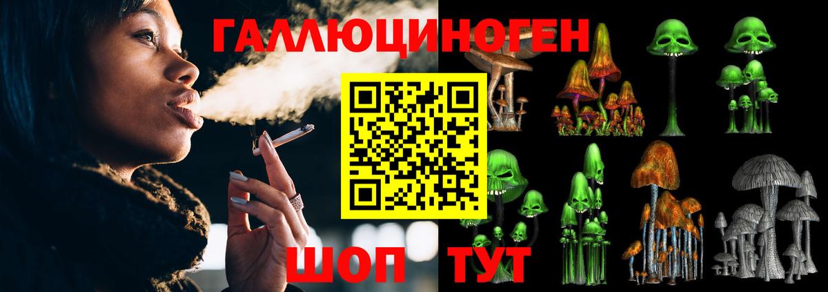 Галлюциногенные грибы прущие грибы Томск